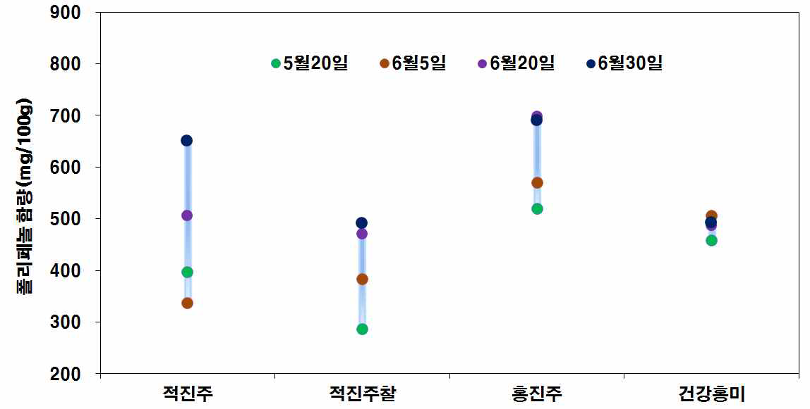 적미 품종별 이앙시기에 따른 폴리페놀 함량변화