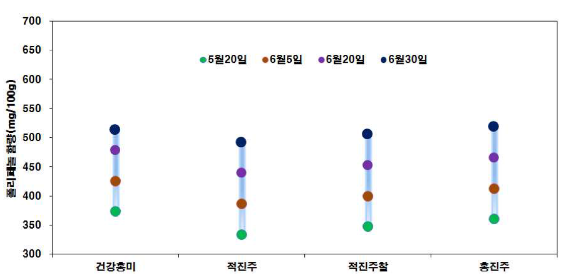 적미 품종별 이앙시기에 따른 폴리페놀 함량변화