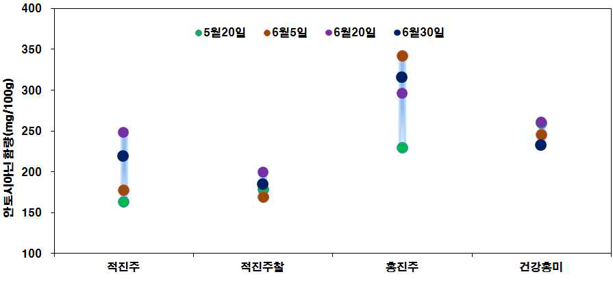 적미 품종별 이앙시기에 따른 폴리페놀 함량변화