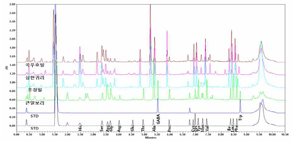유리아미노산 표준품 크로마토그램 및 새싹작물별 품종별 크로마토그램 비교
