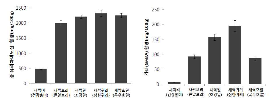 새싹작물별 총 유리아미노산 및 가바 함량 분석 결과