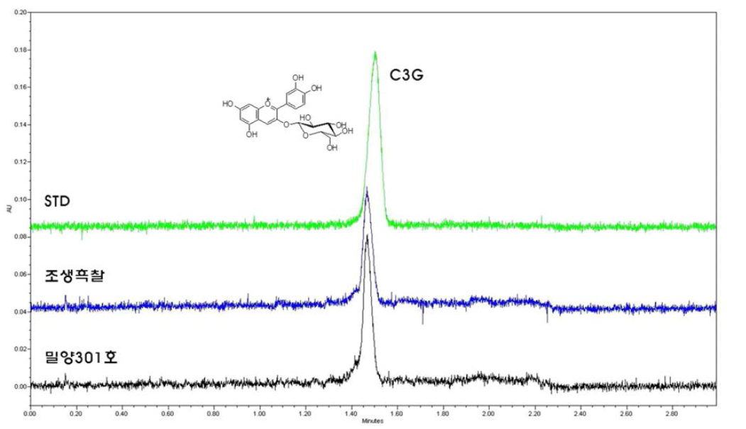 밀양301호의 안토시아닌 UPLC 분석 크로마토그램