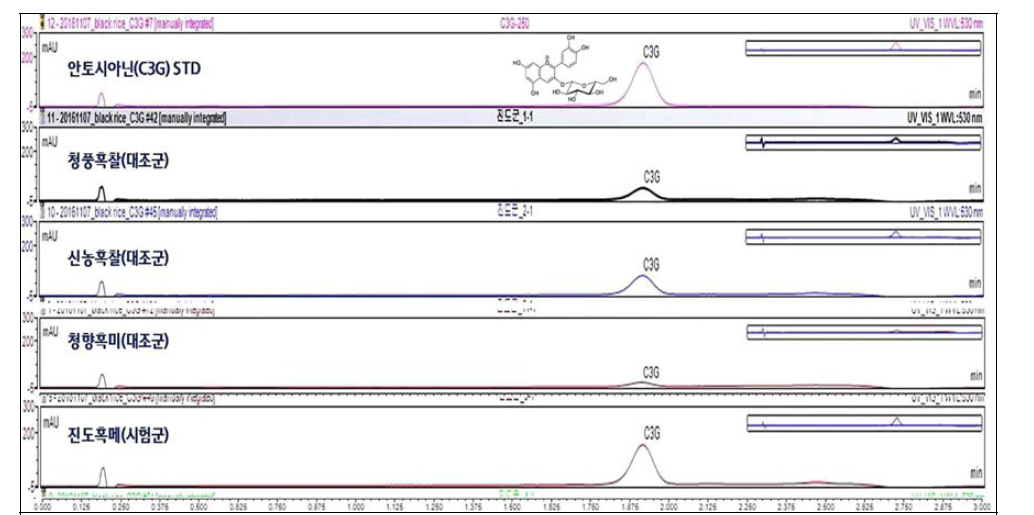 진도흑미 안토시아닌(C3G) LC 크로마토그램