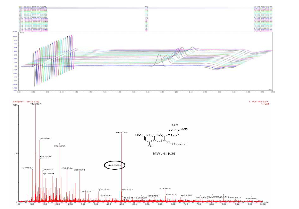 진도흑메, 진도흑찰의 안토시아닌(C3G) LC 크로마토그램 및 LC-MS/MS 결과