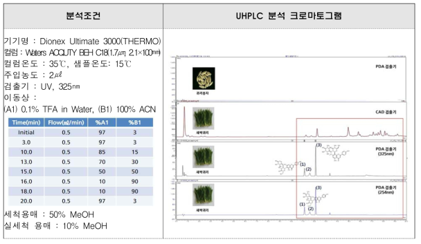 새싹귀리의 검출기 파장별 UHPLC 크로마토그램 분석결과