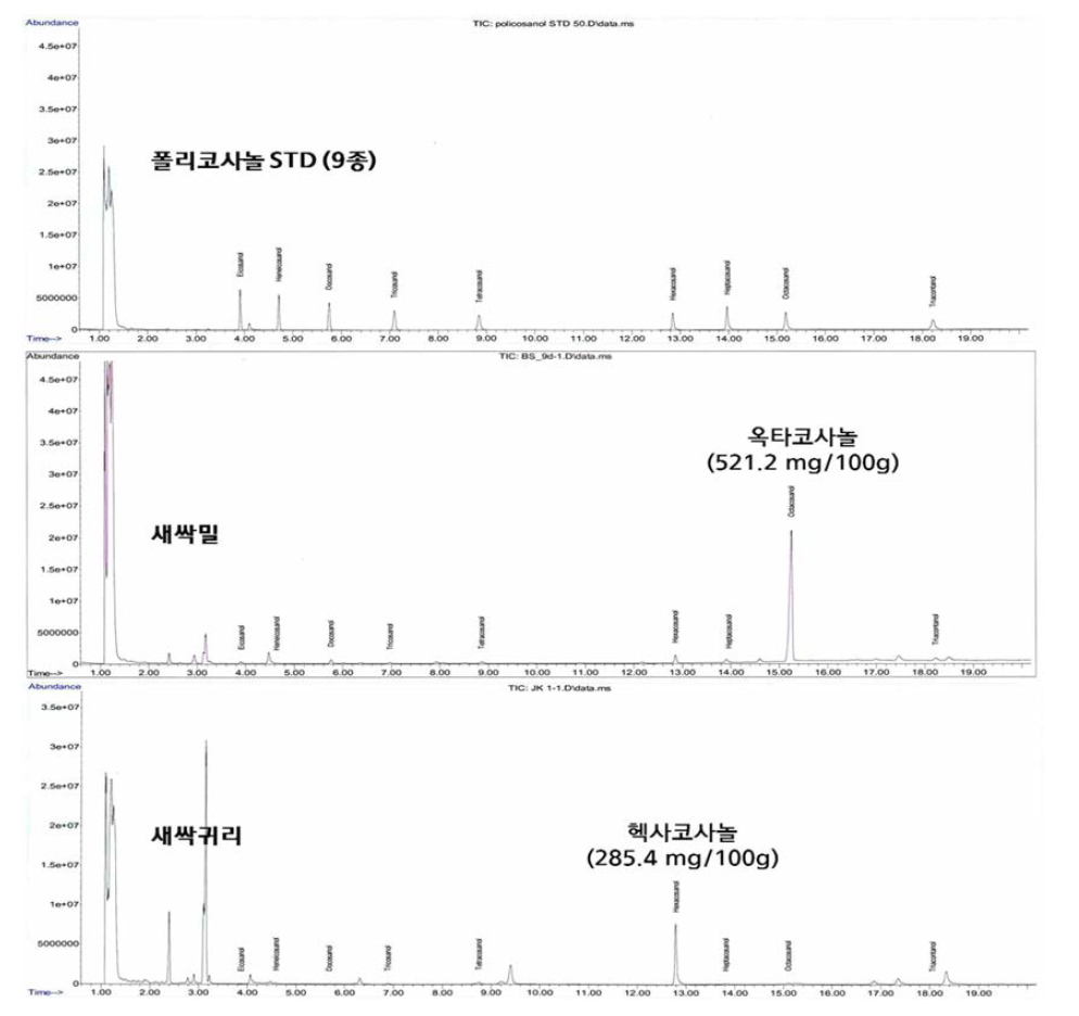 맥류새싹 폴리코사놀 GC-MS 분석 크로마토그램