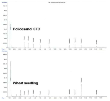 새싹밀 폴리코사놀 분석 결과 GC-크로마토그램(조아밀)