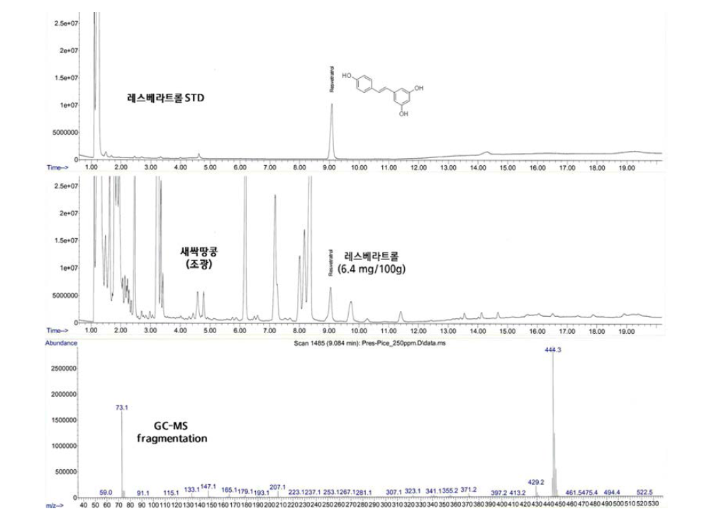 새싹땅콩 레스베라트롤 GC-MS 분석 크로마토그램