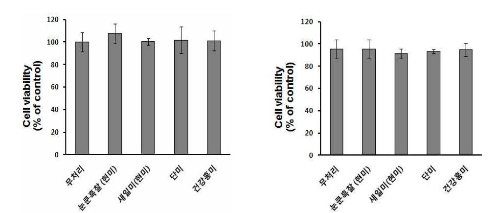 벼 헥산(좌) 및 메탄올(우) 추출물의 세포 독성 검정