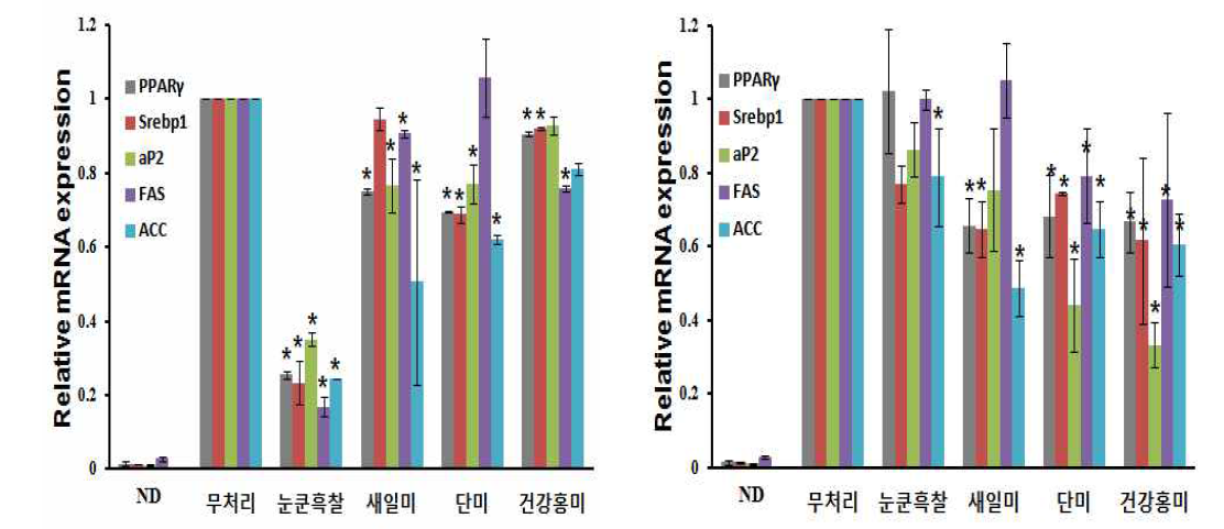 벼 헥산(좌) 및 메탄올(우) 추출물의 지방합성 단백질1) 발현