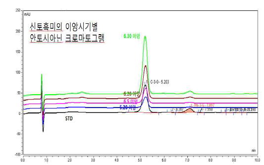 신토흑미의 안토시아닌 크로마토그램