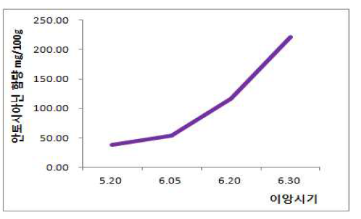 이앙시기별 안토시아닌 함량변화