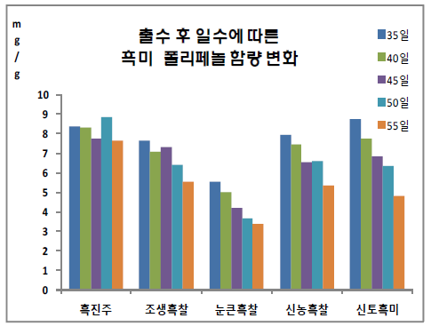 유색미 폴리페놀 함량 변화