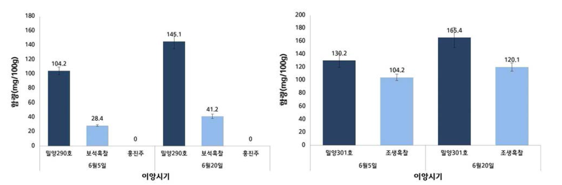 밀양290호, 밀양301호와 대조군별 이앙시기별 안토시아닌(C3G) 함량분석 결과