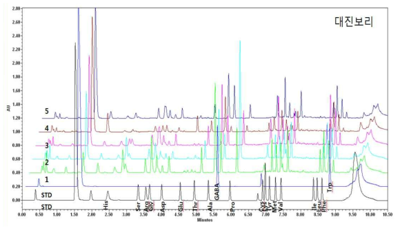 대진보리의 가바(GABA) 및 아미노산 UPLC 크로마토그램