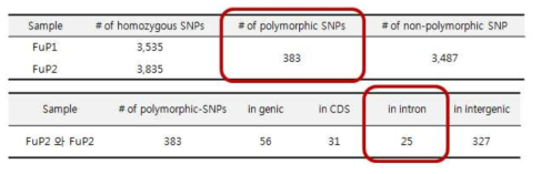 수박 덩굴마름병 관련 SNP 개수 및 샘플간 validation, distribution