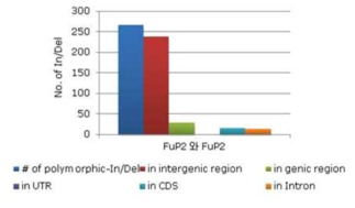 수박 덩굴마름병 연관 polymorphic InDel의 분포