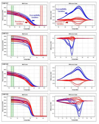 수박 덩굴마름병 관련 F2 집단 HRM 분석 결과(SWF02, SWF03, SWF08, SWF09)
