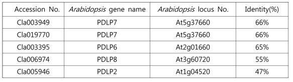 수박에서 애기장대 PDLP 유전자와의 상동 유전자 분석