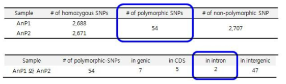 수박 탄저병 관련 SNP 갯수 및 샘플간 validation, distribution