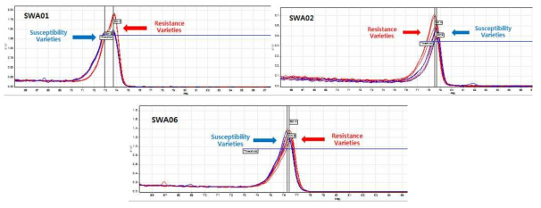 수박 탄저병 저항성 및 감수성 자원 SNP 프라이머 HRM 분석
