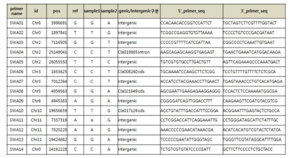 수박 탄저병 관련 SNP 프라이머 목록