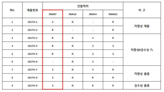 수박 탄저병 관련 선발 분자머커 적용 결과(수집계통 9점)