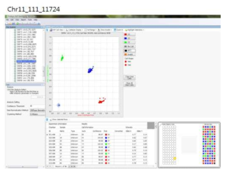 Fluidigm SNP genotyping analysis 프로그램상의 SNP 유전자형 분포도