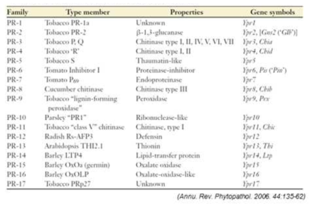 PR(Pathogenesis-Related protein) family