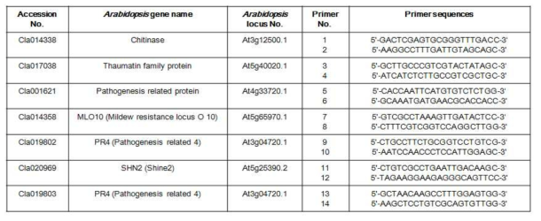 수박 병저항성 관련 유전자(PR gene)의 프라이머 목록