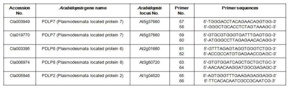 수박에서 Arabidopsis PDLP5 homologue genes의 프라이머 목록