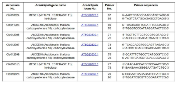 수박에서 고추 Esterase homologue genes의 프라이머 목록