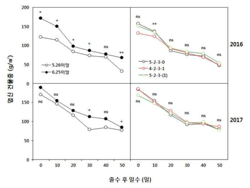 이앙시기와 질소 시비방법에 따른 출수 후 엽신 건물중 변화. 이앙시기 성적은 질소 시비방법(세구) 평균, 질소 시비방법 성적은 이앙시기(주구)의 평균값임