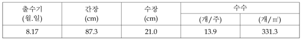 출수기 및 등숙기 벼 생육(’15)