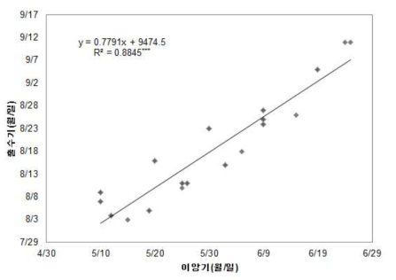 팔방미의 이앙기 변화에 따른 출수기 변화