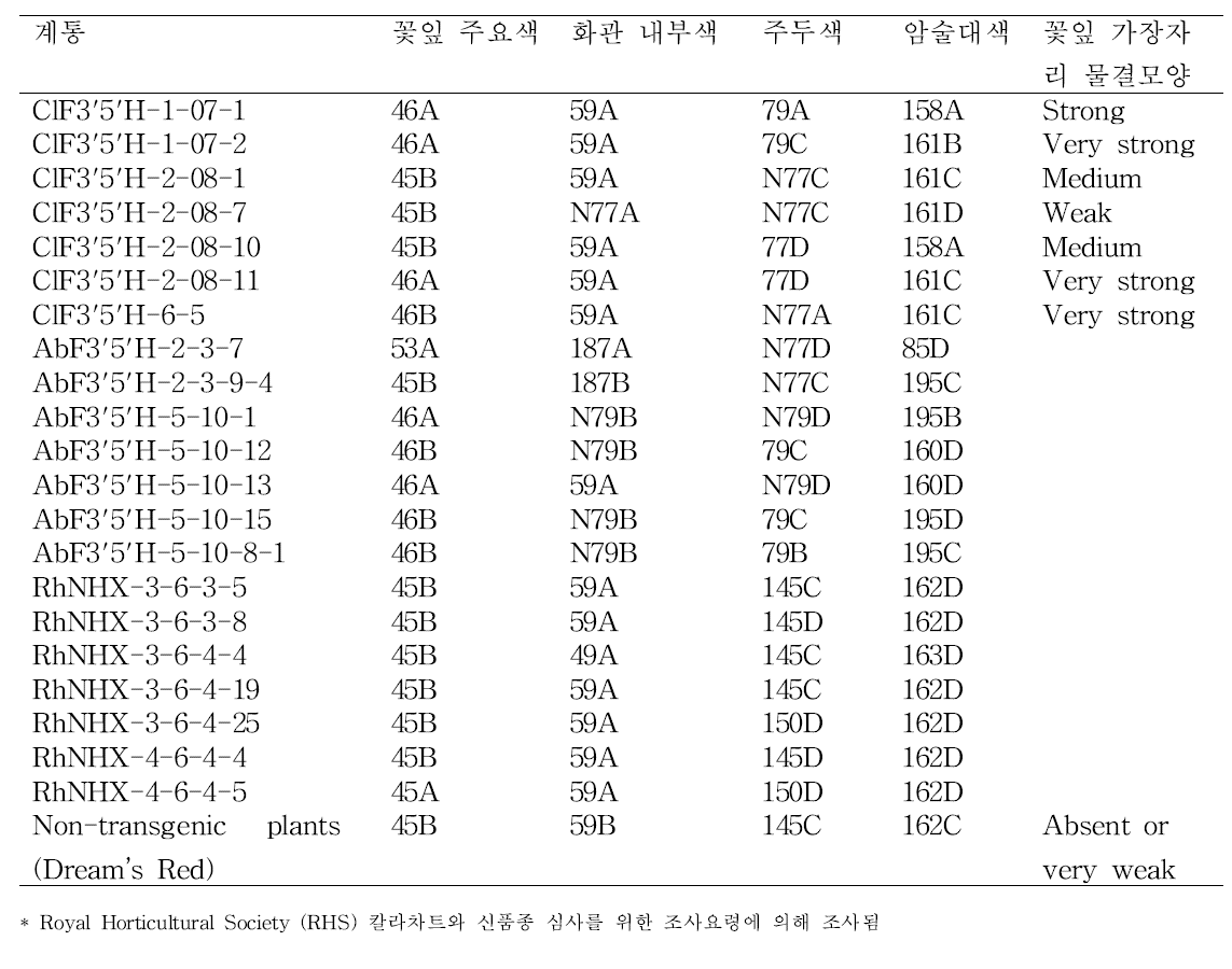 청색소 발현 유전자 도입 페튜니아 Dream’s Red 유래 형질전환체 꽃 특성