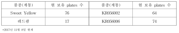 체세포배발생 캘러스 계대배양