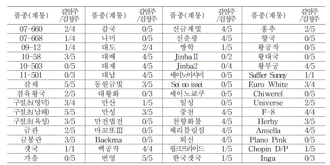 국화유전자원의 감염률 조사