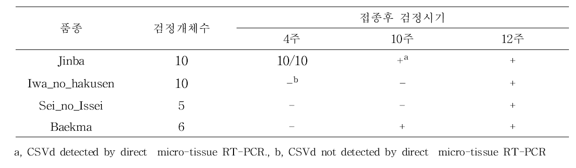 스탠다드국화 품종에서 국화왜화바이로이드 저항성 검정