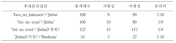 국화 유전자원을 이용한 후대분리집단에서 저항성 분리