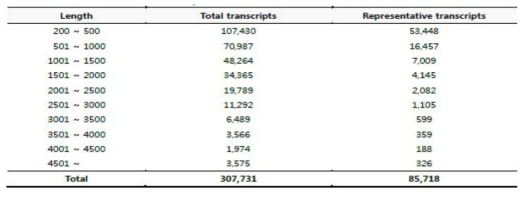 최종 assembly된 transcripts의 길이 별 분포