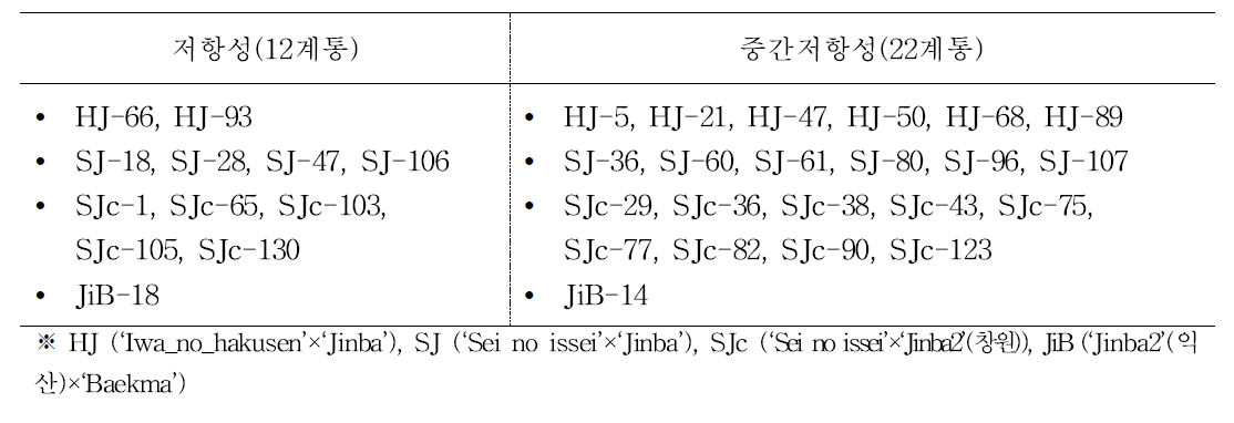 후대분리계통 중 저항성후보계통의 원예적 형질 특성조사