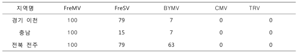 RT-PCR을 이용한 ‘샤이니 골드’ 수집 지역별 바이러스 감염률