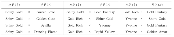 프리지아 바이러스 저항성 검정을 위한 교배