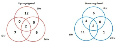 내병성 품종에서 FreMV 접종 0, 6, 24시간 후 발현이 증감하는 DEG