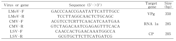 RT-PCR분석을 위하여 제작한 바이러스 종류별 primer 염기서열