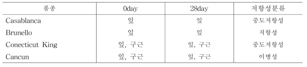 나리 CMV병 저항성 관련 전사체 분석 및 유전자 선발을 위한 시험 재료