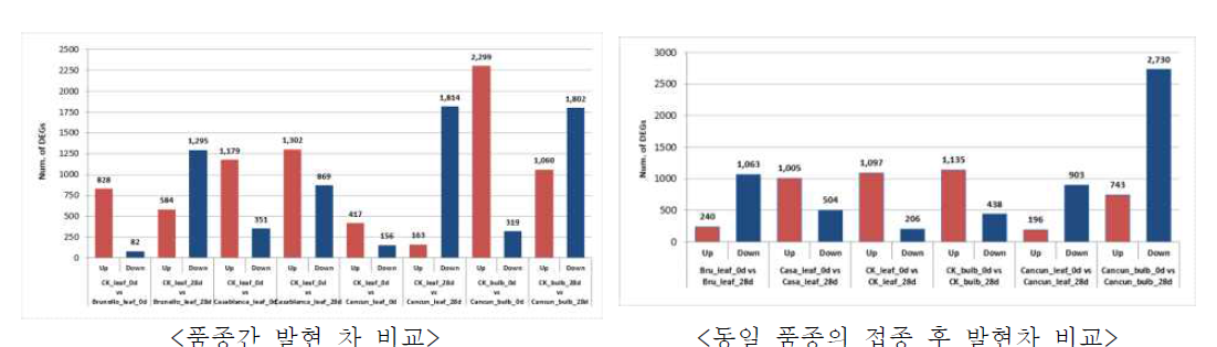 접종 전후 발현특성에 따른 DEG