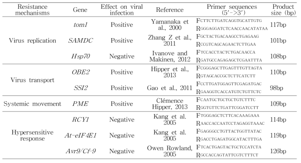 주요 바이러스 저항성 관련 유전자 리스트 및 프라이머 제작