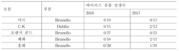 나리 CMV 저항성 관련 후대에 대한 바이러스 검정